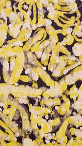 7.9K views · 77 reactions | Before Emily Kam Kngwarray began painting...