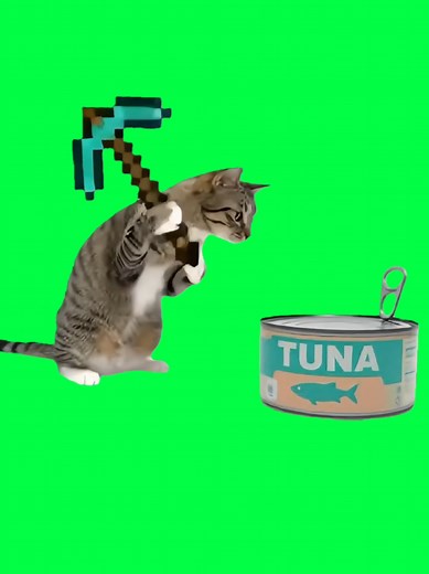 Divertido meme de gato con estilo Minecraft