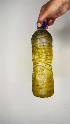 Oil dispenser #viral | Qnash Gebeya