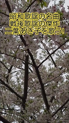 #昭和歌謡 #二葉あき子 #戦後歌謡 #昭和の名曲 #昭和のポップス歌謡 #懐メロ #想い出のメロディー #昭和のメロディー #50年代歌謡曲 #巴里の夜 #昭和の歌手 #昭和歌謡カバー #アカペラ