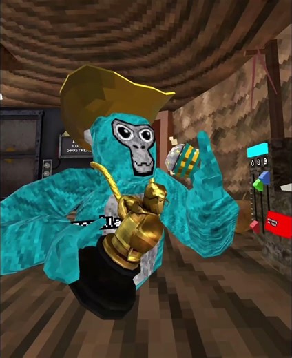 Evolution of my gtag skin#gorillatagquest #gtag #vr #oculusquest3 #metaquest3 #oculus #gtagameplay