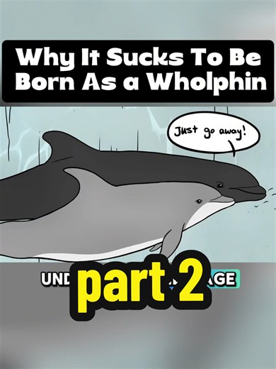 Why It Sucks to Be Born a Wholphin