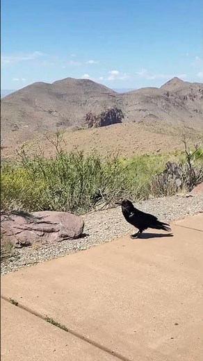 Big Bend National Park #travelvlog #travel #usnationalparks #nationalpark #bigbend #mountains
