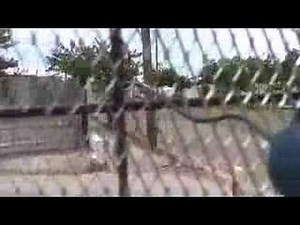 ferrocement tie techniques