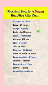 1.7M views · 6.9K reactions | . . . Shocking How long Organs Stay Alive After Death #reelsviralシ #reelsfypシ #ukreels #usaviral #usareels #tips #newyork #eating #health #goviral #humor #healing | My Health Tips | Facebook