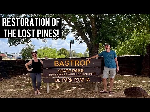 The Rebirth Of The Lost Pines - Bastrop State Park in Texas!