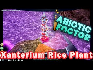 Abiotic Factor - Xanterium Rice Plant Location