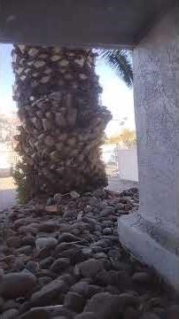 Another view out of my back window