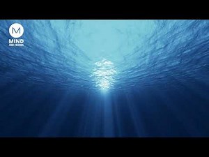 Schumann Resonanz Heilung mit 7,83 HZ - Wohlbefinden und Heilung