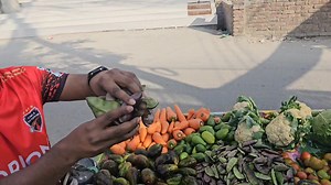 I am a vegetable seller. Do you need any vegetable? | Jahed English Academy