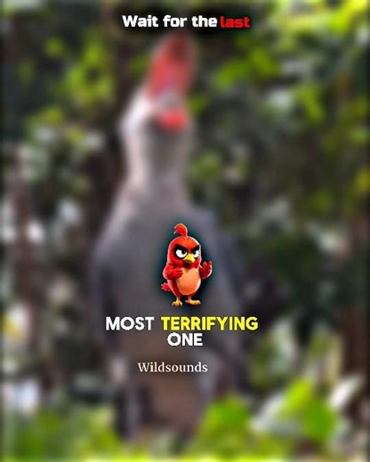 The Most Haunting Bird Sounds Ever