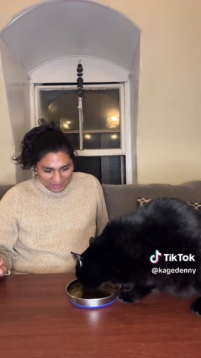 Catnip Tea Time with Tuma: Fun Moments with Feline Friends