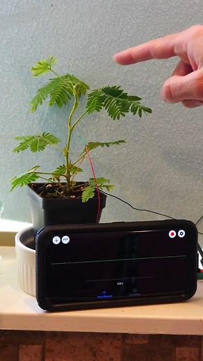 Controlling a plant with my brain #reels #science #brain #viral #experiment #plants #biology | The Action Lab