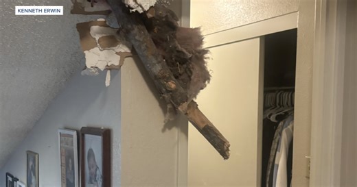 Spring Valley family narrowly escapes injury after massive tree crashes into home
