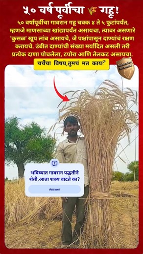 भविष्यात गावरान पद्धतीने शेती शक्य वाटते का?#short #shorts #viralvideo #trendingvideo #viralreel