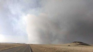 Here's what you need to know about Ready, Set, Go!