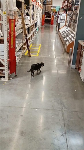 Home Depot Secret Shopper