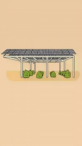 University of Arizona Research works with Indigenous farmers to help...