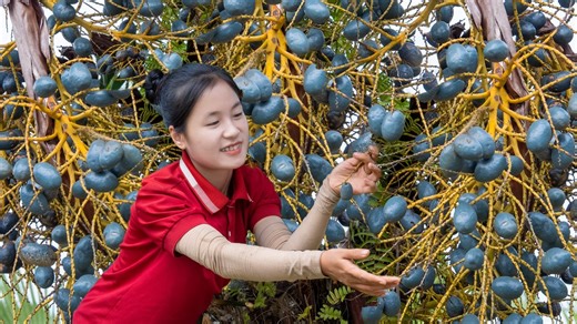 176K views · 3.7K reactions | Harvest PALM FRUIT goes to the market sell - Farming | Daily Life | Flixgo Cookies | Facebook