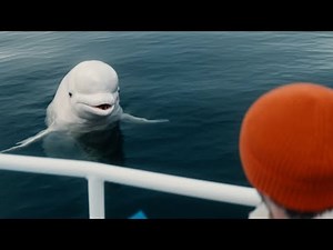 Nerdwallet Super Bowl Commercial 2025 Beluga