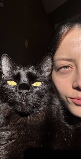 Mommy's Cuddle Time with Cats