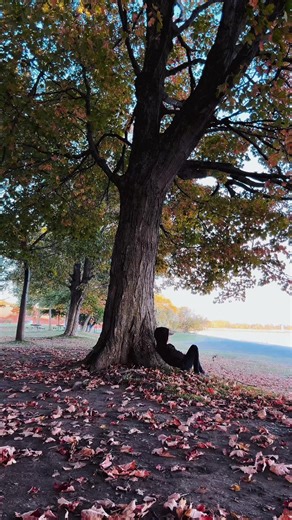 Authenticity in Nature: Embracing True Self