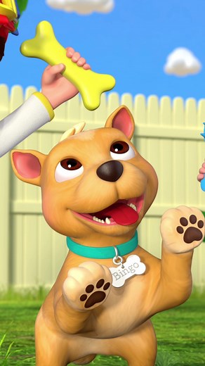 Meet Bingo! 🐶 Likes: treats, tummy rubs, long walks around the neighborhood, waking everyone up before 6am. Dislikes: when everyone’s asleep so there’s no one to play with. #cocomelon #bingo #puppy #pets #petsoftiktok #dog #doggo #dogsoftiktok #ruff #woof #fetch #toddler #familypet #kids #bone #cute