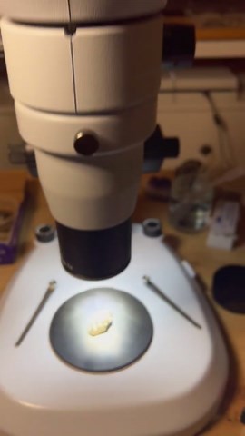 Extremely Rare Quartz Under Uv Light Reveals 30-Million Year Old Oil!