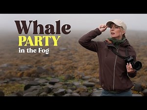 Whale Watching in Nova Scotia | Brier Island & Digby Travel