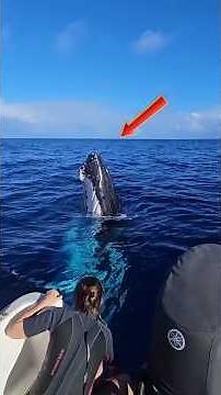 Incredible And Epic Moments Caught In The Deep Ocean #shorts