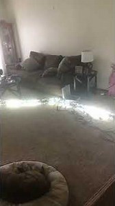 Light o Rama arch’s