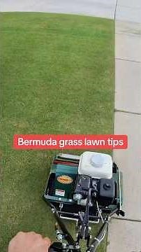 Top five lawn care tips for Bermuda grass lawns #lawncare #lawnmaintenance #lawn #lawnmowing