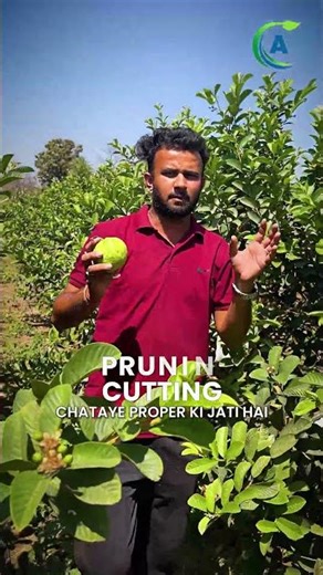 Smart Farming Technique That Boosts Yield & Profit | किसान जरूर देखें #farming #agrifuture