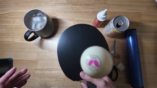 Mastering Table Tennis Skills with ZYRE-03