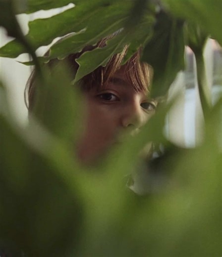 🎬 Marriage Story (2019) Directed by Noah Baumbach, Marriage Story is a devastatingly intimate portrait of love, loss, and everything in between. It captures the unraveling of a relationship with heartbreaking realism — where no one is the villain, and everyone is hurting. Driver and Johansson deliver performances that cut deep. It’s about how people change… even when they still care. #M#MarriageStoryN#NoahBaumbachEmotionalCinema