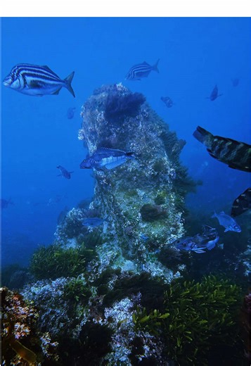 Family Hike and Fishing Adventure in New Zealand