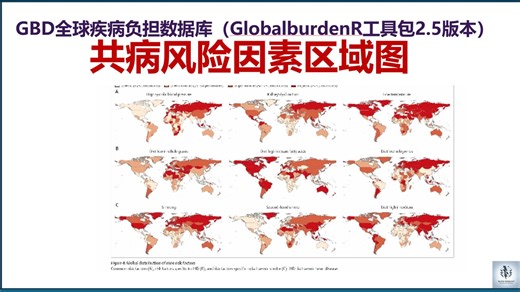 20分柳叶刀GBD数据库共病分析多风险因素暴露值区域图--GlobalBurdenR 2.5