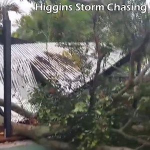 1.1M views · 1K reactions | A large tree branch as crashed down at Miami on the Gold Coast overnight causing damage to a pergola, fences and pool. Thankfully it missed the house. Video report sent in by Terri. Please send your Weather Reports, Photos & Videos directly to HSC via this link: m.me/HigginsStormChasing | Higgins Storm Chasing | Facebook