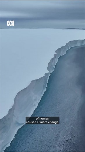 Scientists say there is emerging evidence of abrupt and potentially unstoppable changes in the Antarctic environment. The changes are heightening the risk of significant sea level rise and the extinction of species, including emperor penguins. 🎥 By Antarctic reporter Jano Gibson via ABC News Tasmania Get the news that matters to you straight from the source. Download the ABC NEWS app: https://ab.co/abcnewsapp. #Science #Climate #Antarctica | ABC News