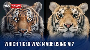 Can you tell which tiger is real and which was made using AI? - The Global Herald