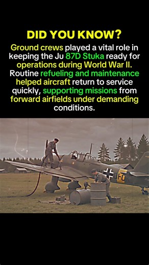 How Ground Crews Kept the Ju 87D Stuka Mission Ready