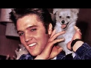 Elvis being funny for 18 minutes
