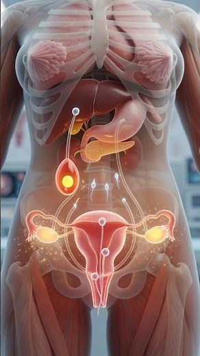 How Sperm Meets Egg Inside the Body | Fertilization process Explained