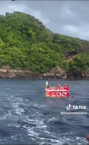 Some of allu need to be lost at sea too