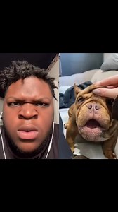 Wait a minute… | Angryreactions