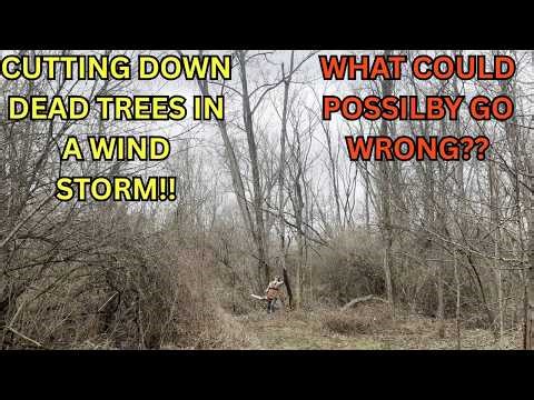 Cutting Down Trees in a Wind Storm