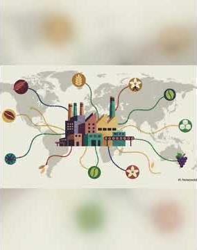 Sustainable Supply Chain Explained | Ethical Procurement #Shorts