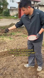 2.7K views · 21 reactions | It’s time to grow cilantro. #plantlover #gardening101 #gardentok #planting #planttips | Seed To Harvest | Facebook