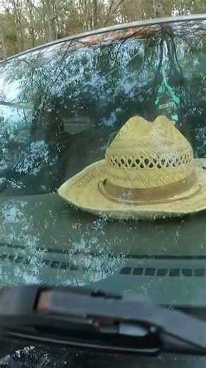 Windshield Wiper Replacement (Easy DIY)