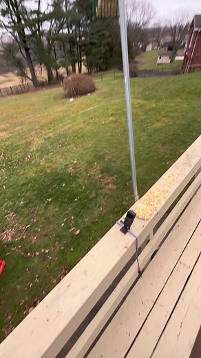 Backyard Bird Watching: Capturing the Beauty of Downy Woodpeckers